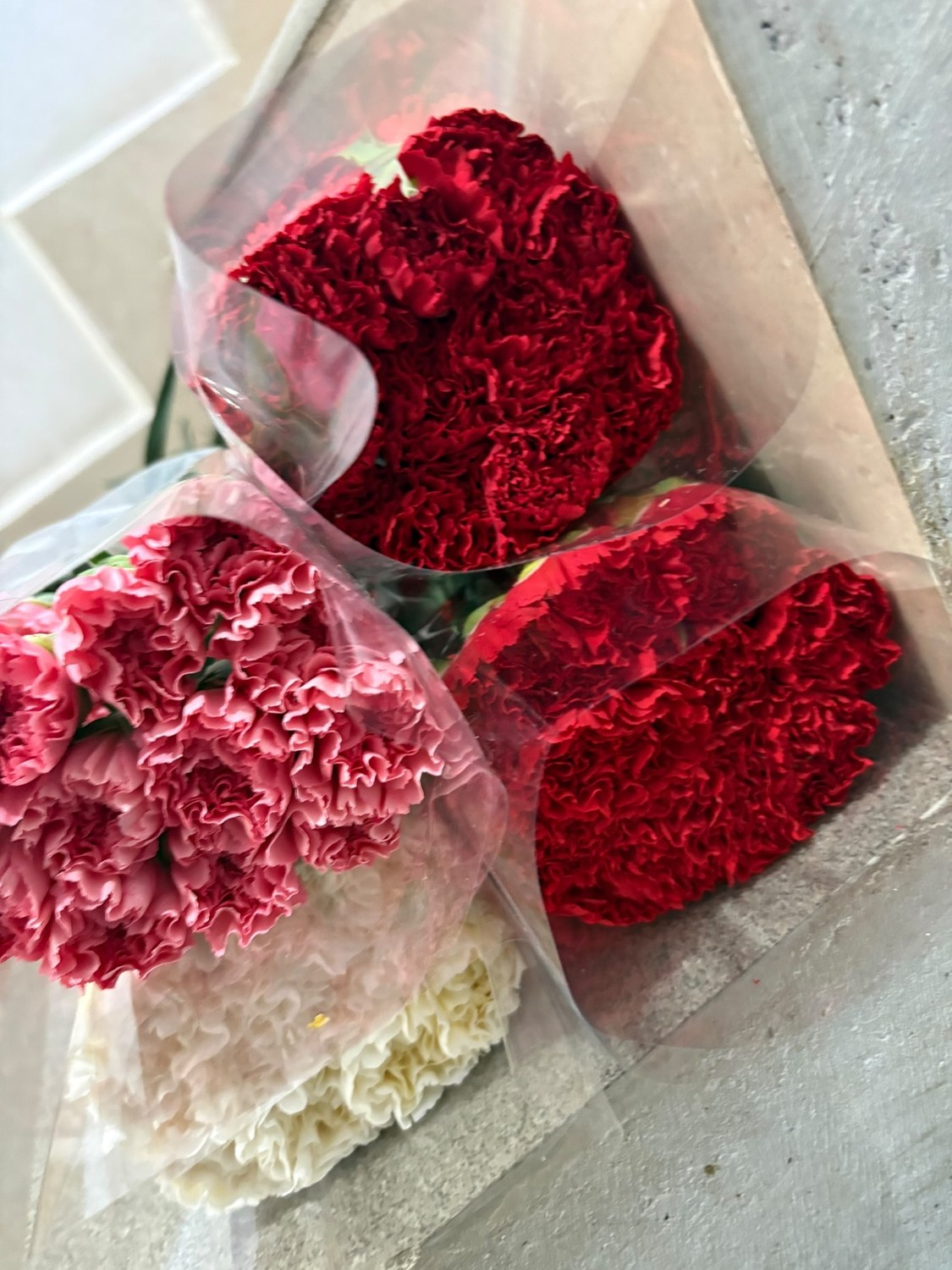Red carnation bulk bunches