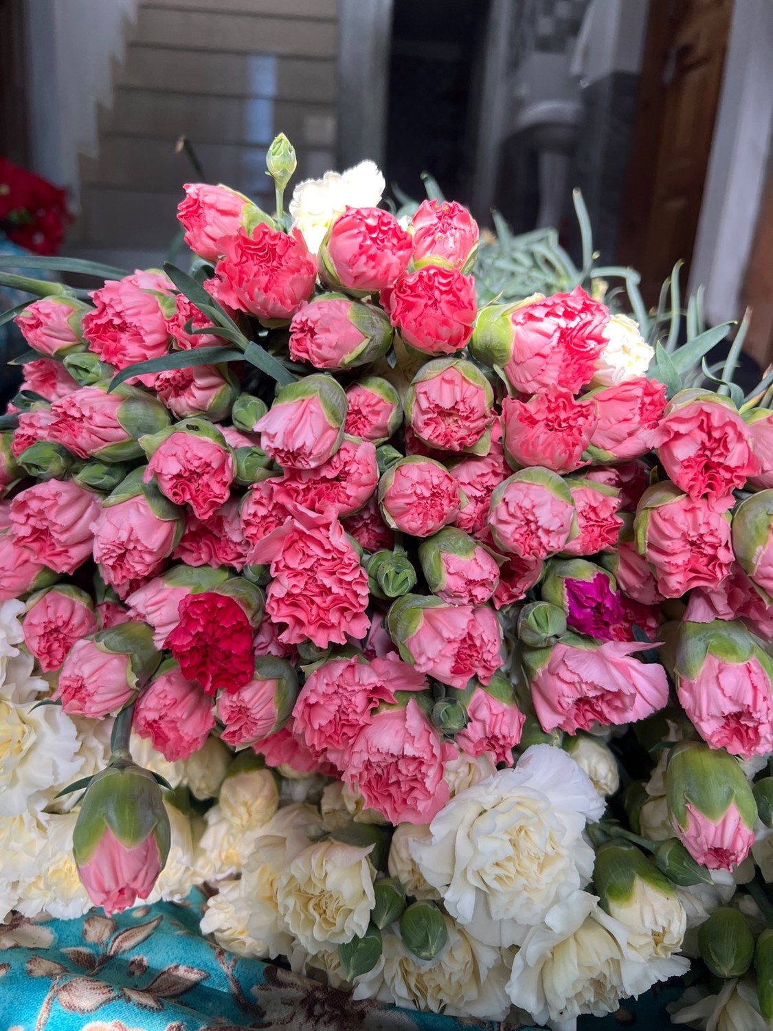 Premium carnation bunches for hotels