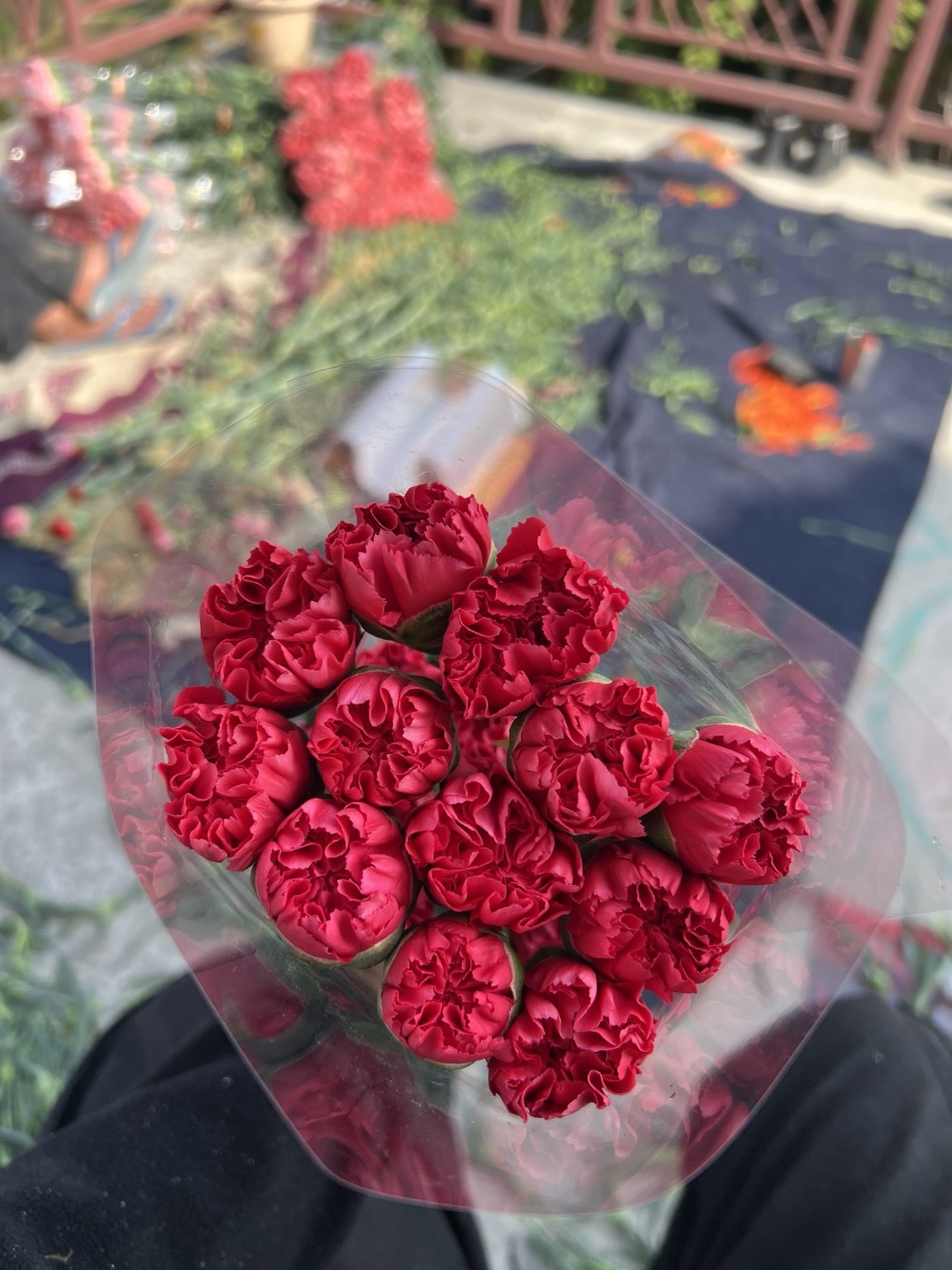 Red carnations